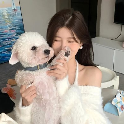 茶花村的幸福生活